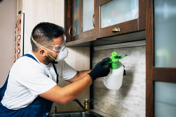 Best Best Pest Control Companies  in Manchester Center, VT